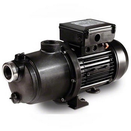 Boost-Rite Pumpe für Druckreiniger 230V - 0,75 kw