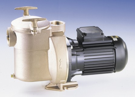 Sta-Rite Bronze Pumpe 11m³/h 230V / 400V