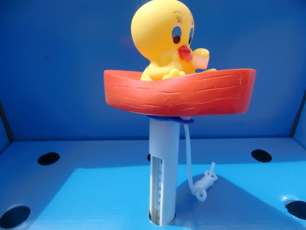 Thermometer Motiv Ente auf Boot